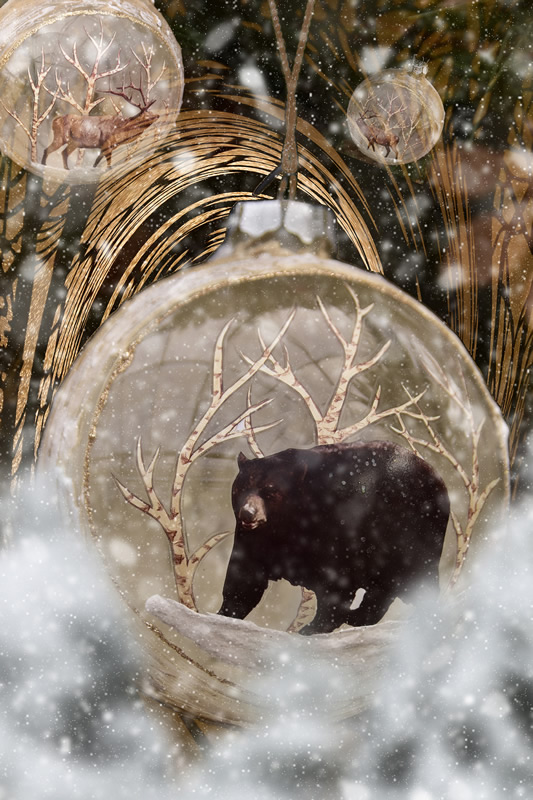 Bear in Winter Wonderland by Darlene Perkin